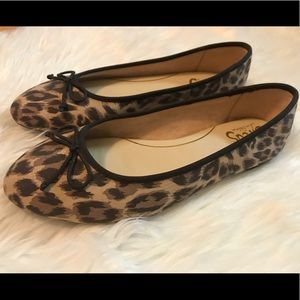 Circus by Sam Edelman - Leopard Ballet Flats